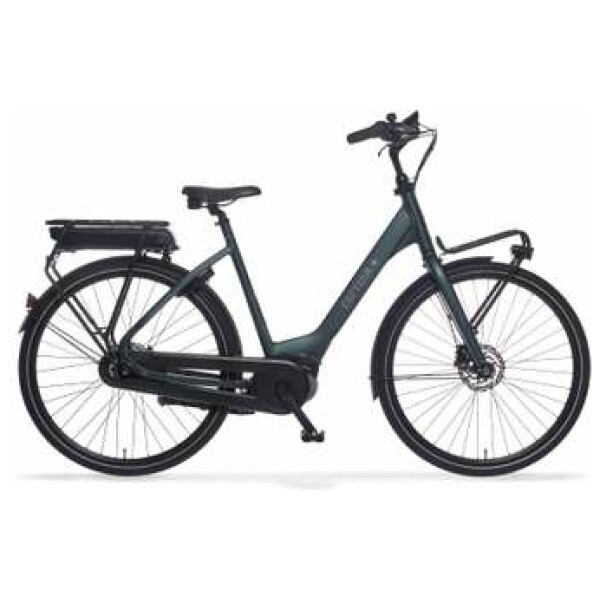 Cortina E-Common Dark Green Metallic Matt Dames