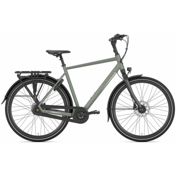 Gazelle Chamonix C8 Green Heren