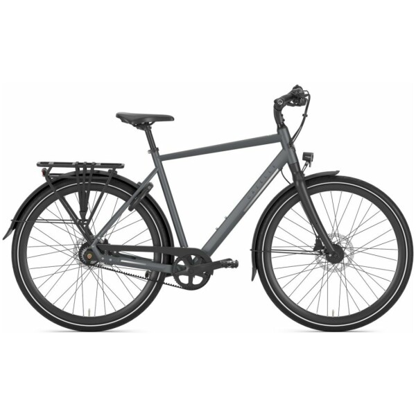 Gazelle Chamonix S11 Cloud Grey Mat Heren - Afbeelding 3