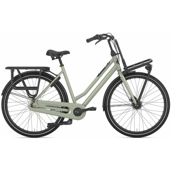 Gazelle HeavyDutyNL Pistache Green Glans Dames