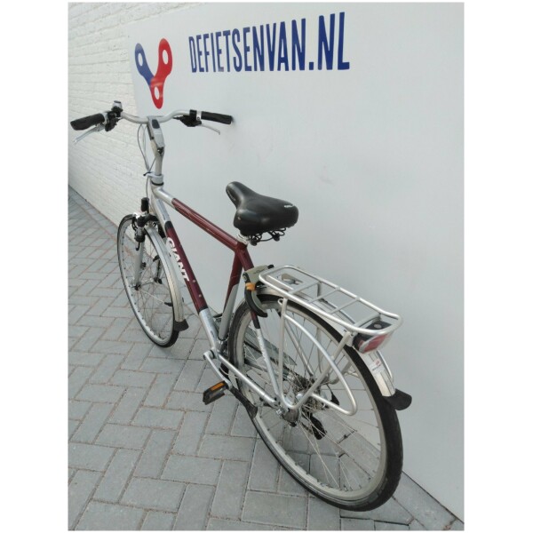Giant Leader DX Zilver/bruin Heren - Afbeelding 3