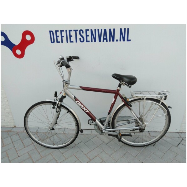 Giant Leader DX Zilver/bruin Heren
