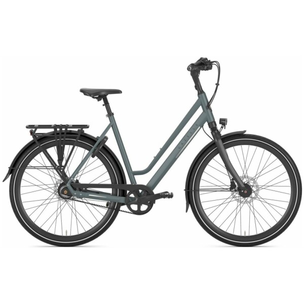 Gazelle Chamonix S8 Clay Green Dames