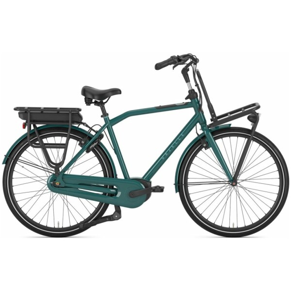 Gazelle HeavyDutyNL C7+ Thyme Green Glans Heren