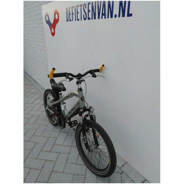 Alpina Trial Grey Mat 20 Jongens - Afbeelding 2