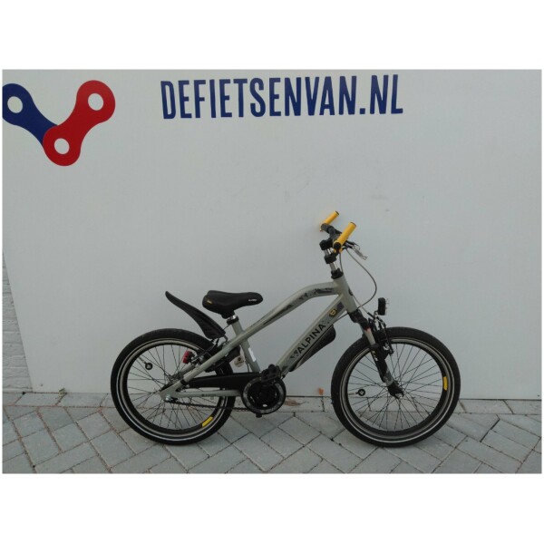 Alpina Trial Grey Mat 20 Jongens