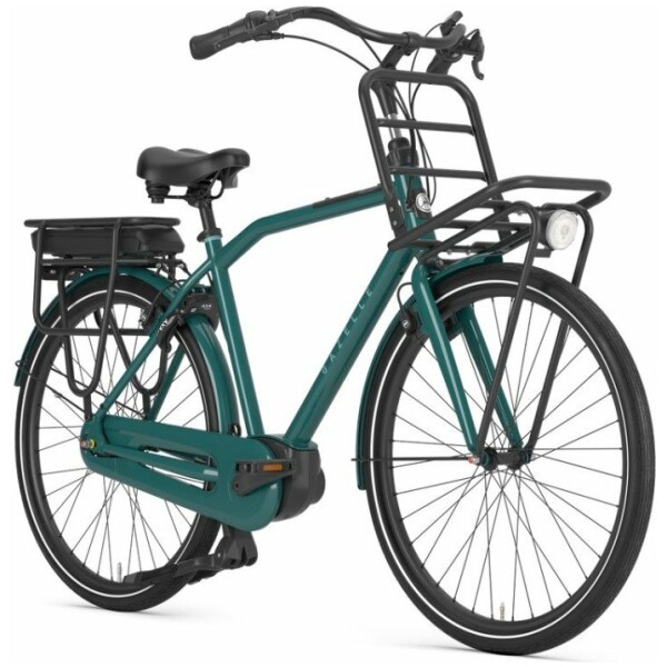 Gazelle HeavyDutyNL C7+ Thyme Green Glans Heren