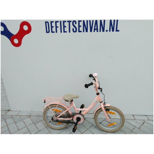 Bfk Flower Fun Roze 16 Meisjes